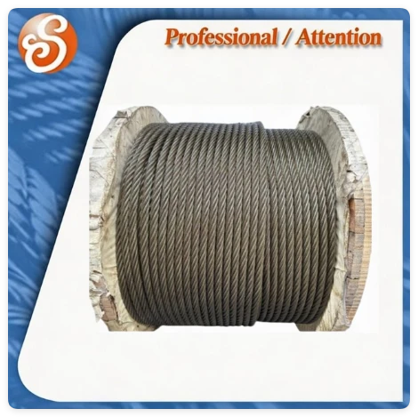 6X19 Galvanized Steel Wire Rope for Lifting 1.5mm-25mm factory